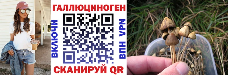 Галлюциногенные грибы прущие грибы  mega зеркало  Шумиха 